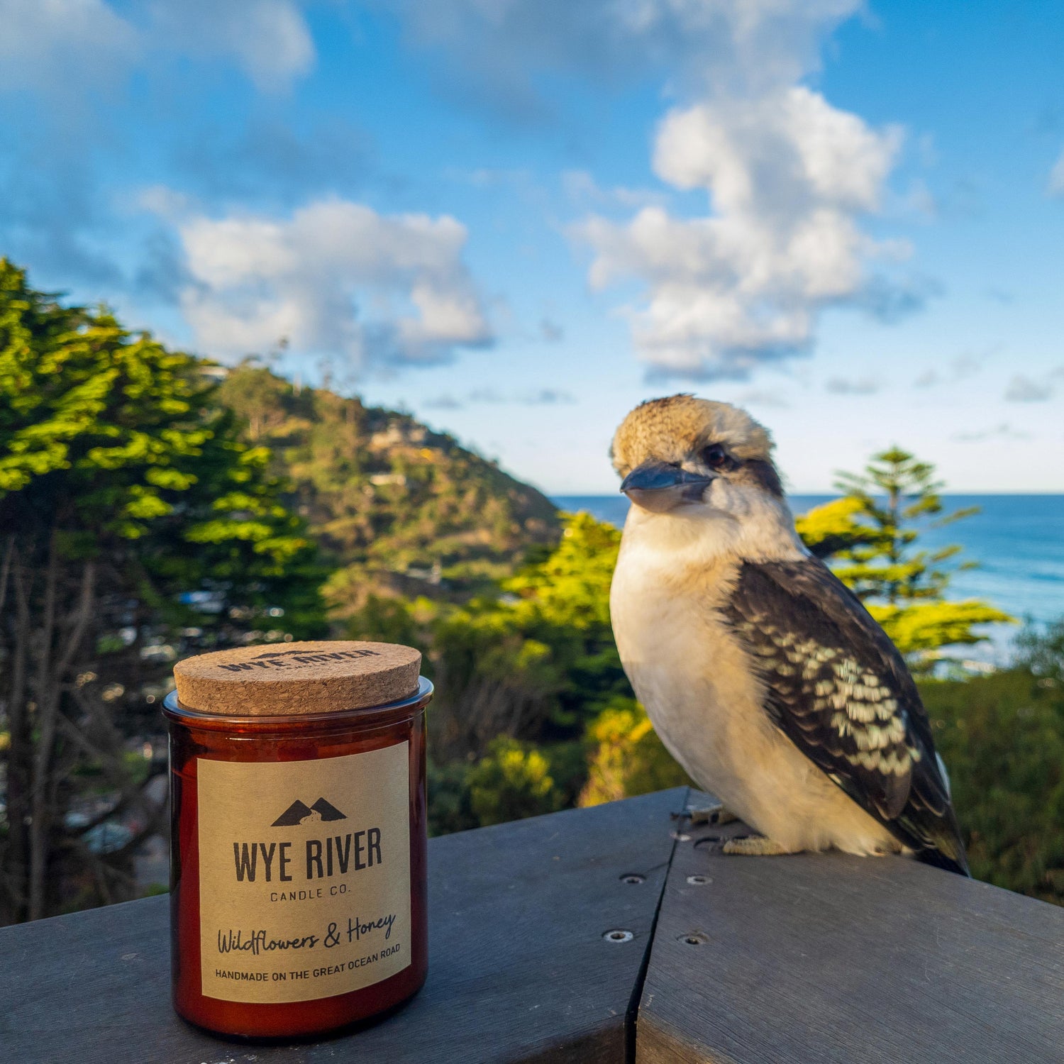 Kookaburra next to candle on a deck overlooking Wye River and the beach
