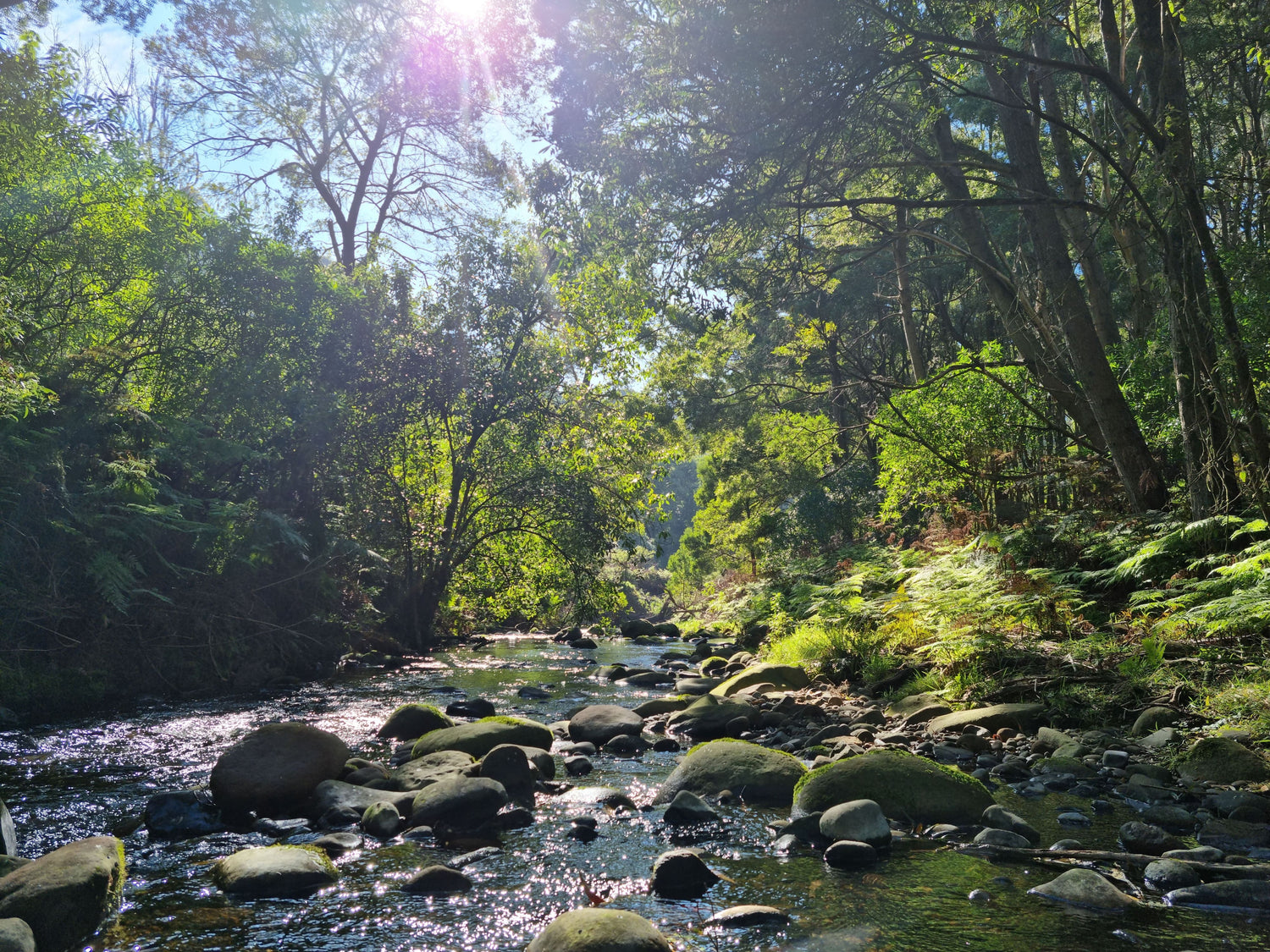 Wye River's river on a sunny day